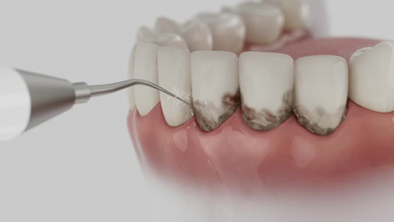 Reliable Dental contractor in Gibson City, IL by Dentist Open Now